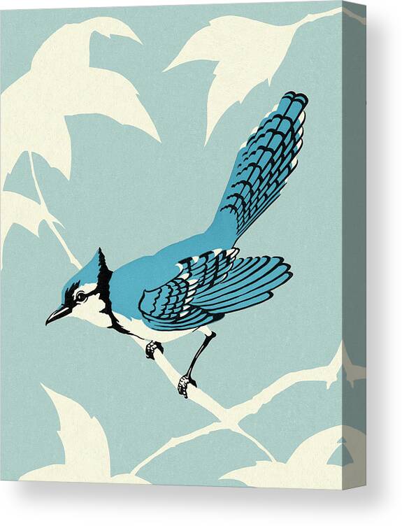 Animal Canvas Print featuring the drawing Blue Jay Bird Sitting on Branch by CSA Images