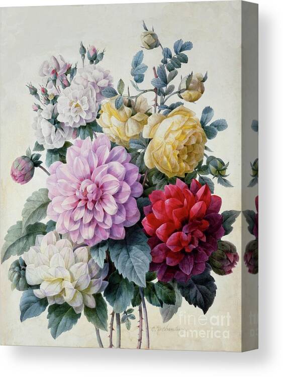 Bud Canvas Print featuring the drawing Bouquet Of Flowers by Heritage Images