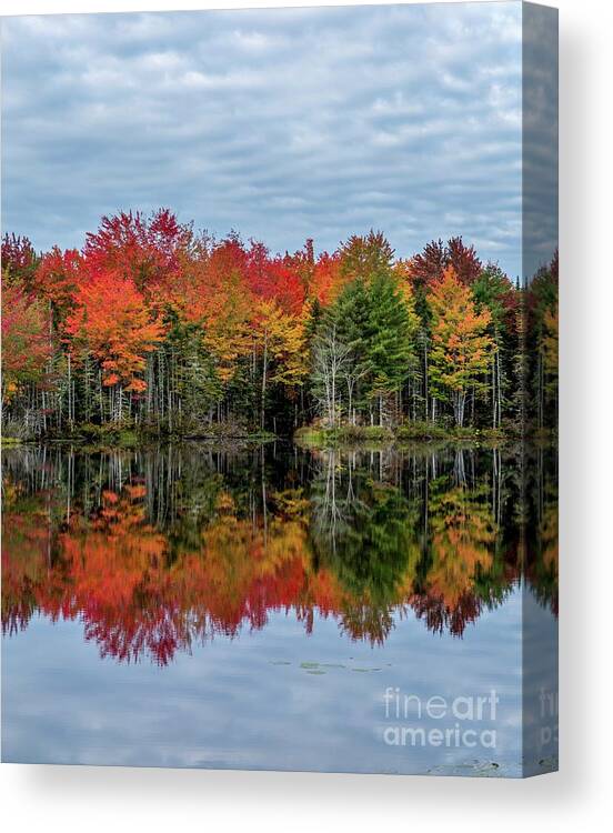 Maine Canvas Print featuring the photograph Breath of Autumn by Karin Pinkham