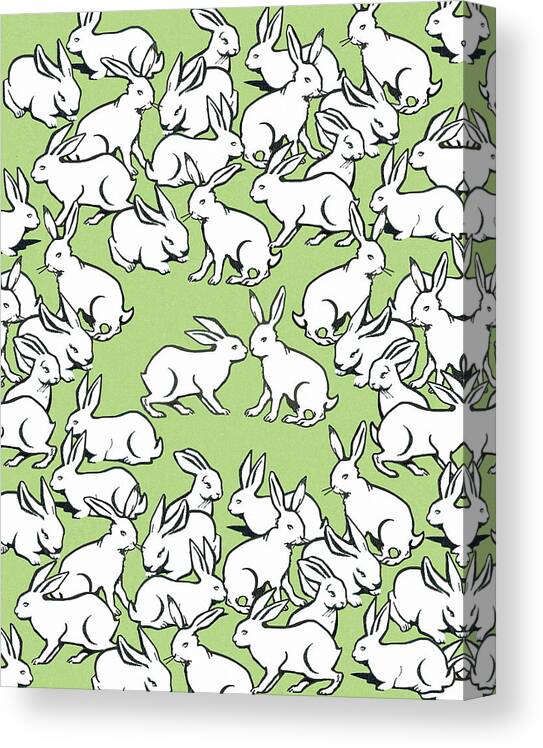 Animal Canvas Print featuring the drawing Bunny Pattern by CSA Images