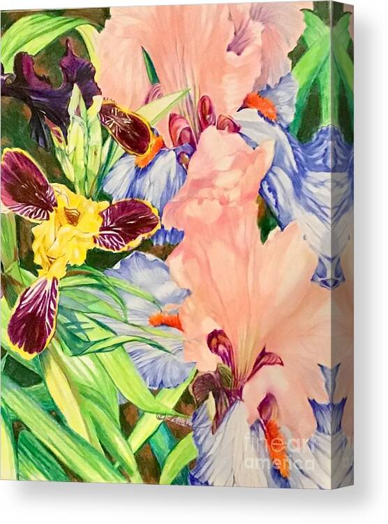 Floral Abstract Canvas Print featuring the painting Can-can and bumblebee iris by Laurel Adams