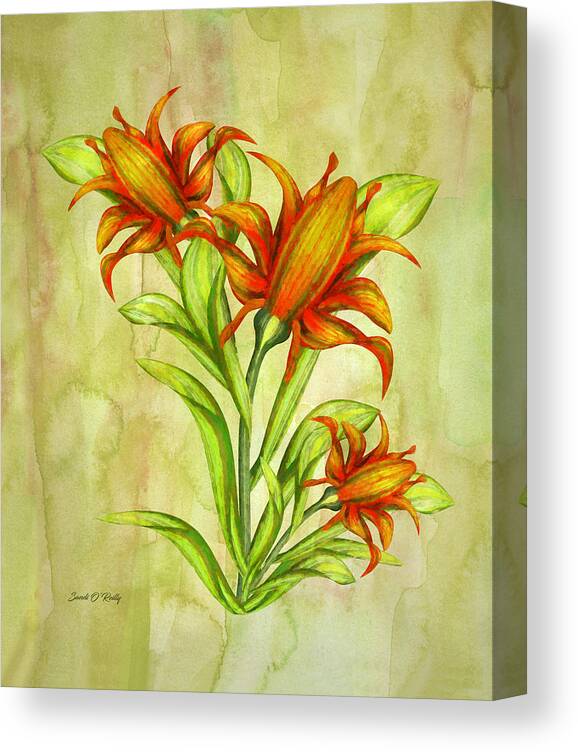 Canna Flowers Watercolor Canvas Print featuring the painting Canna Flowers Watercolor by Sandi OReilly