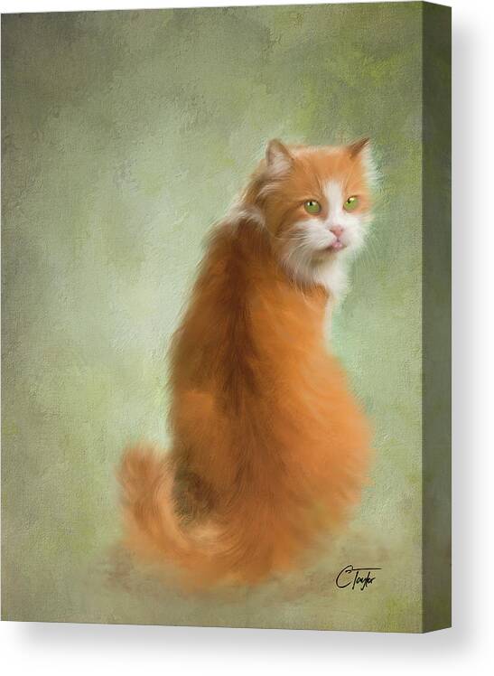 Cats Canvas Print featuring the painting Caramel the Tabby Cat by Colleen Taylor