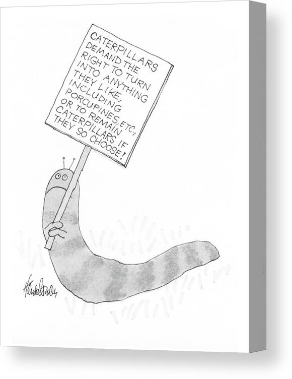#032923 Canvas Print featuring the drawing Caterpillars Demand The Right by JB Handelsman