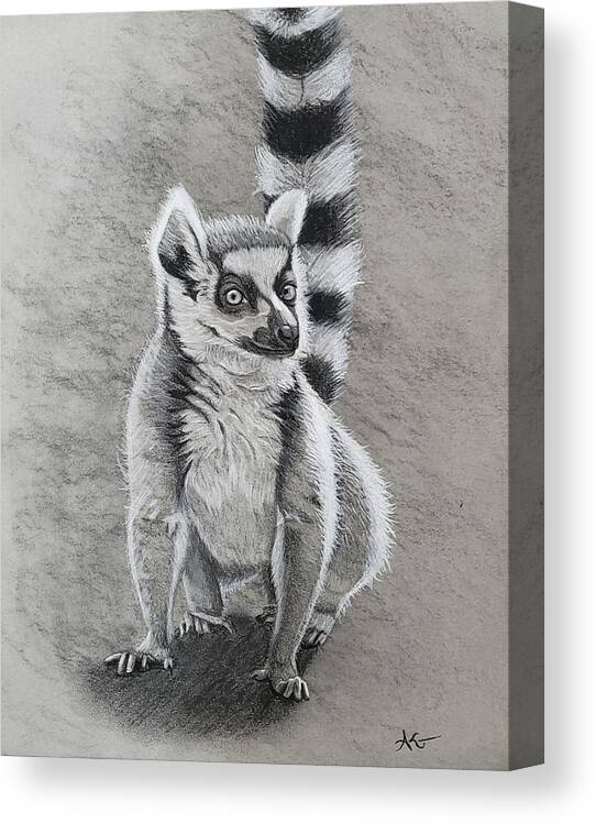 Wildlife Canvas Print featuring the drawing Charcoal Lemur by Alexis King-Glandon