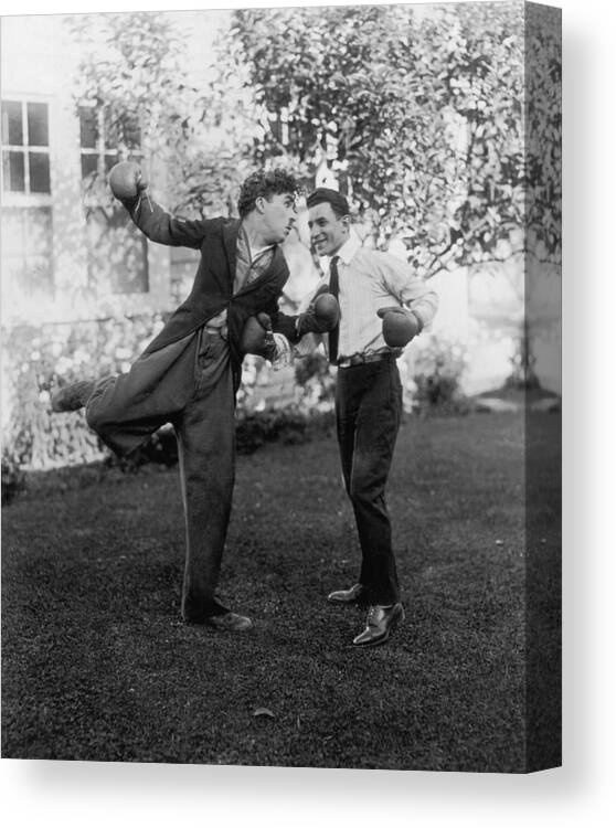 Charlie Chaplin Canvas Print featuring the photograph Charlie The Boxer by Hulton Archive