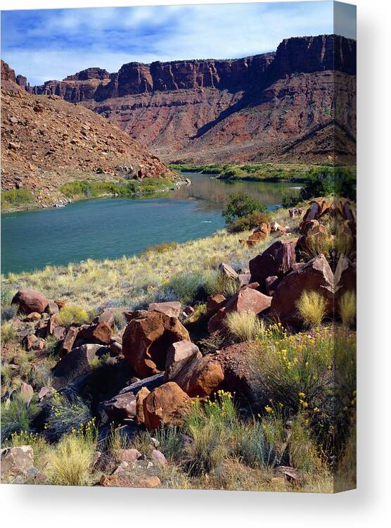 Scenics Canvas Print featuring the photograph Colorado River by Design Pics/david L. Brown