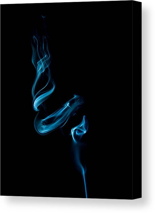 Part Of A Series Canvas Print featuring the photograph Curls Of Blue Smoke by Chad Baker
