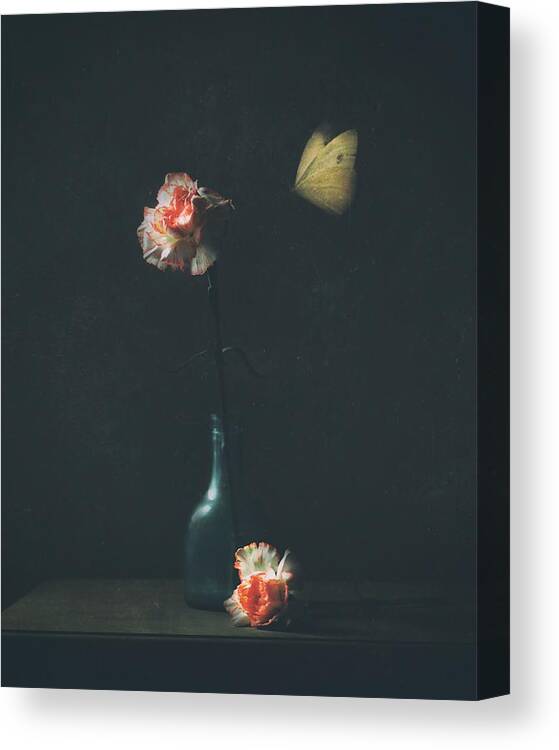Still Life Canvas Print featuring the photograph Dark Mood by Delphine Devos
