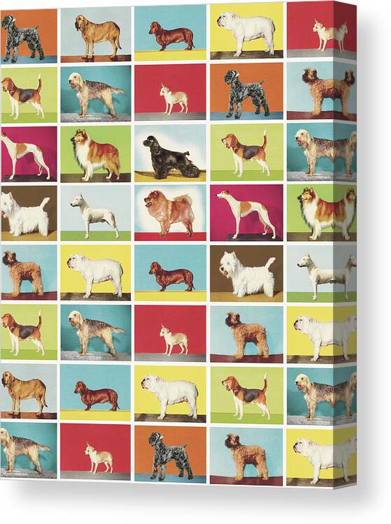 Animal Canvas Print featuring the drawing Dog-on-It Pattern by CSA Images