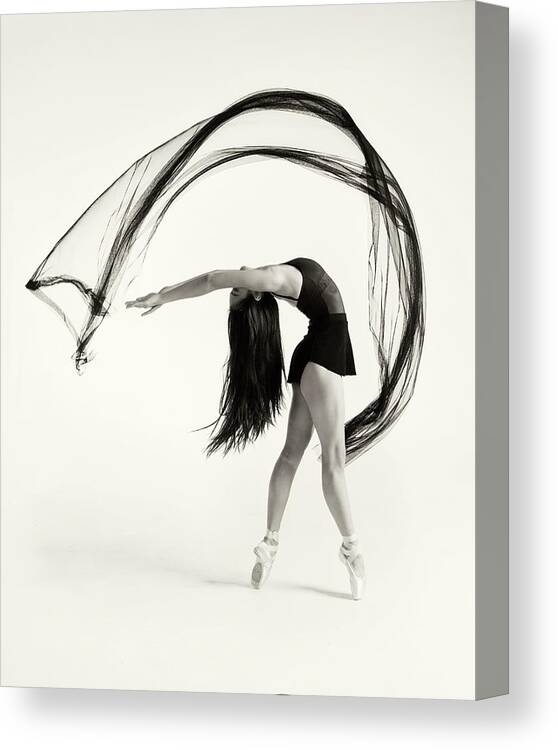 Performance Canvas Print featuring the photograph Double Arch by Rob Li