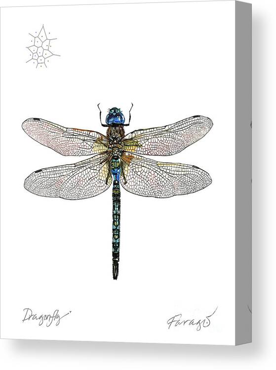 #faatoppicks Canvas Print featuring the drawing DragonFly by Peter Farago