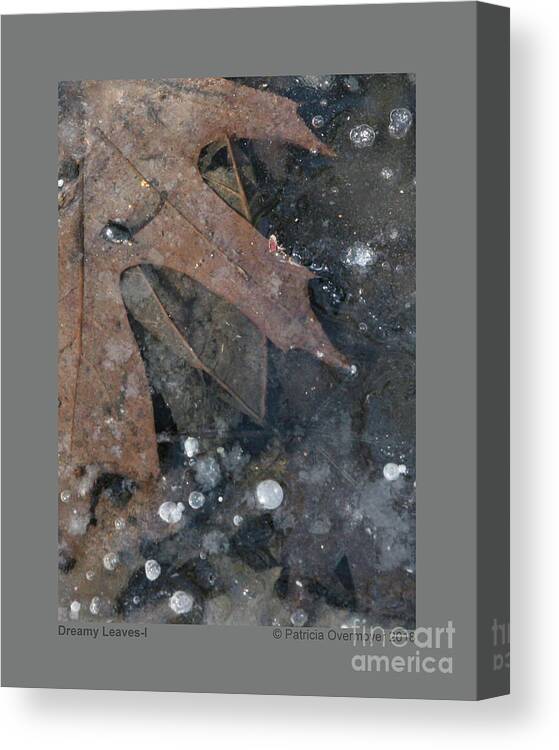 Leaf Canvas Print featuring the photograph Dreamy Leaves-I by Patricia Overmoyer