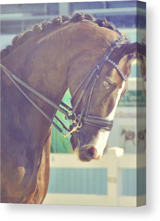 And Canvas Print featuring the photograph Dressage Texture by JAMART Photography