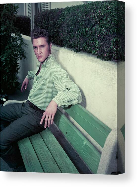 Singer Canvas Print featuring the photograph Elvis Presley by Archive Photos