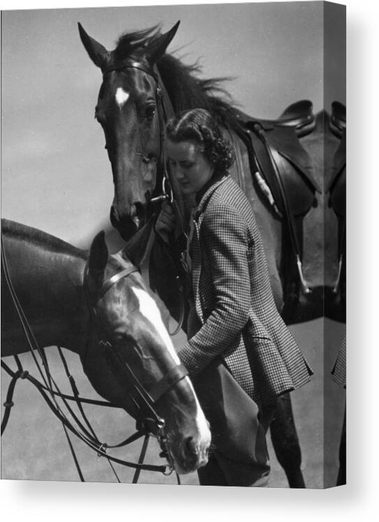 Horse Canvas Print featuring the photograph Equestrian Pursuit by Chaloner Woods