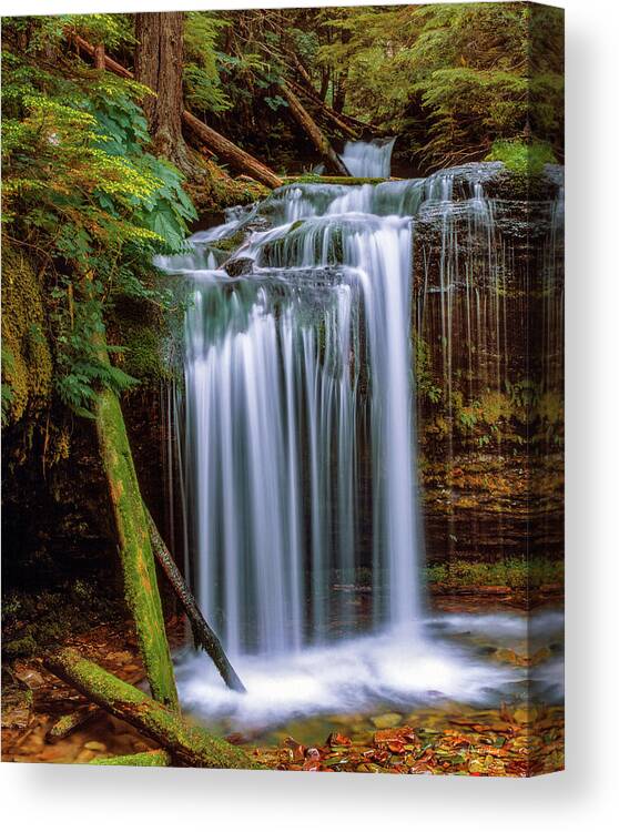 Idaho Scenics Canvas Print featuring the photograph Fern Falls by Leland D Howard