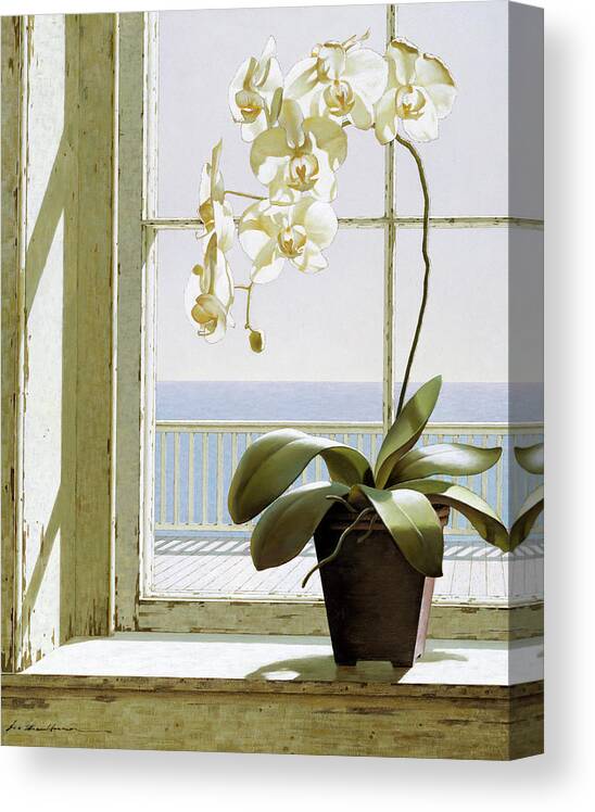 White Flower In Pot On Windowsill Canvas Print featuring the painting Flower In Window by Zhen-huan Lu