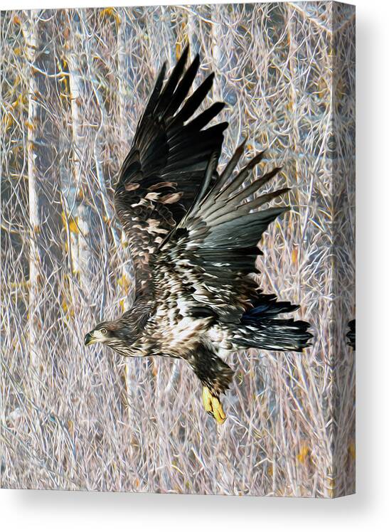 Nature Canvas Print featuring the photograph Golden Flight by Susan Burger