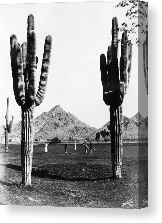 Recreational Pursuit Canvas Print featuring the photograph Golf In The Desert by General Photographic Agency