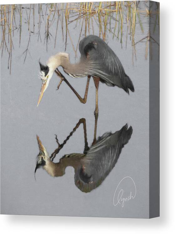 Bird Canvas Print featuring the photograph Great Blue Heron by Karen Lynch