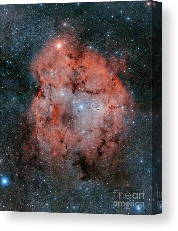 Astronomy Canvas Print featuring the photograph Ic 1396 And The Elephant Trunk Nebula by Davide De Martin/science Photo Library
