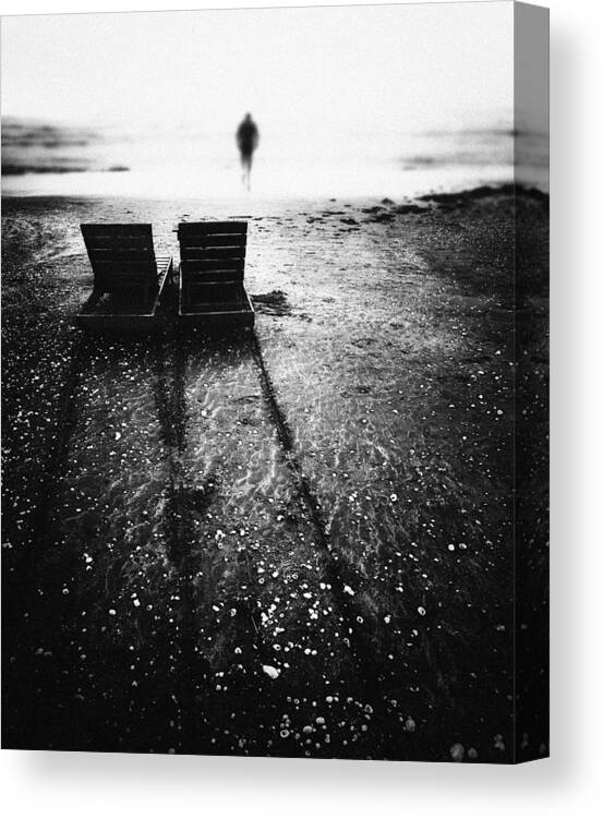 Light Canvas Print featuring the photograph In The Light by Emilian Avramescu