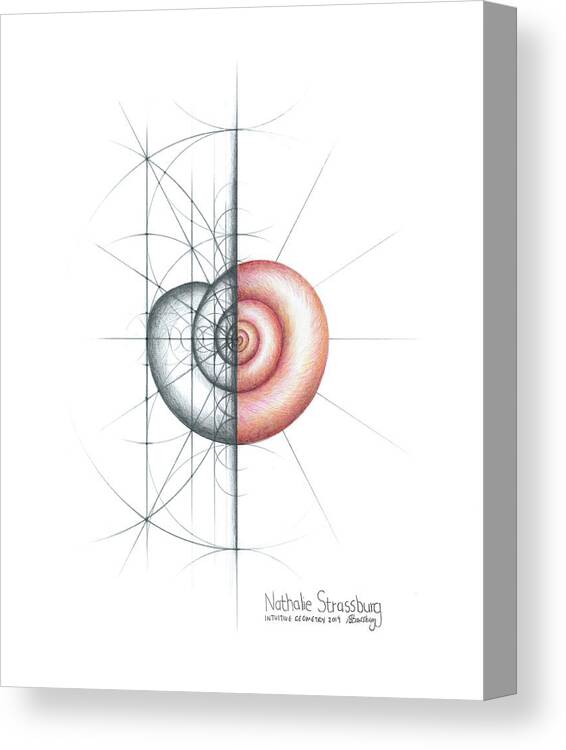 Shell Canvas Print featuring the drawing Intuitive Geometry Shell 2 by Nathalie Strassburg