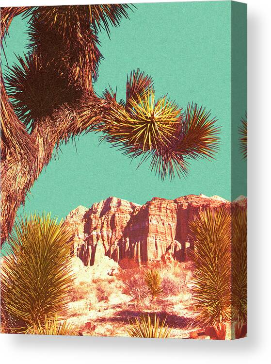Blue Background Canvas Print featuring the drawing Joshua Tree and Rock Formation Landscape by CSA Images