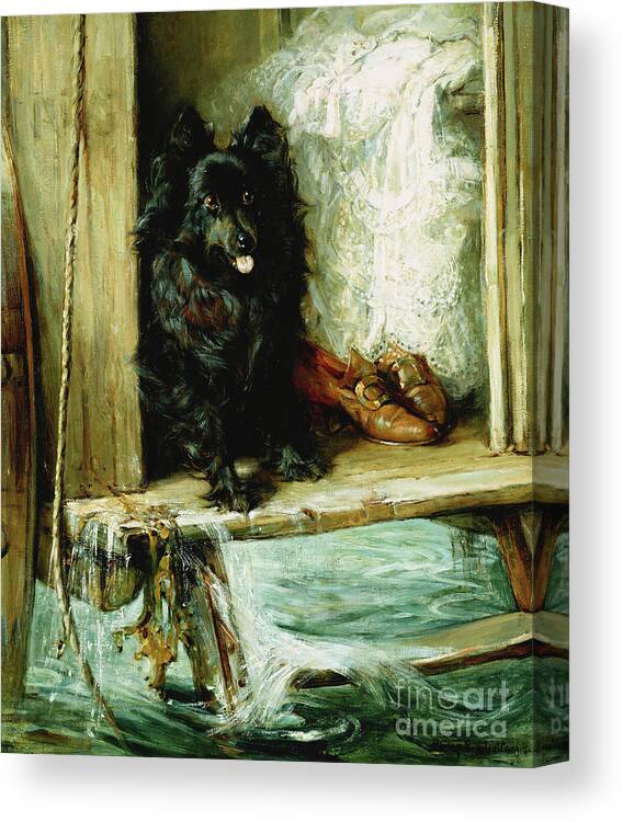 Animal Canvas Print featuring the painting Left In Charge - A Black Pomerain On The Steps Of A Bathing Machine by Philip Eustace Stretton