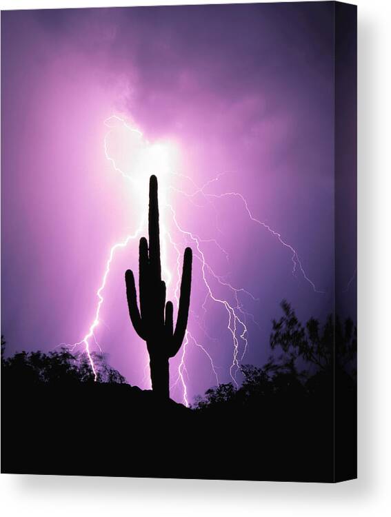 Arizona Canvas Print featuring the photograph Lightning Strikes 3 by Worldwideimages