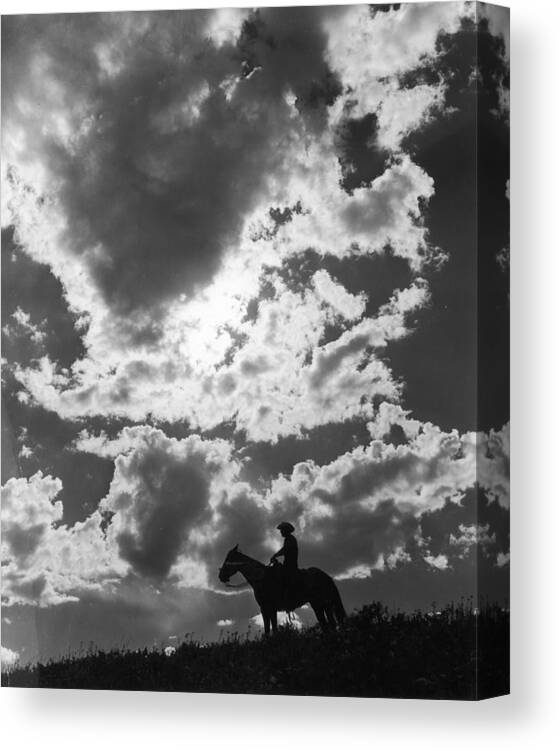 Horse Canvas Print featuring the photograph Lonesome Boy by American Stock Archive