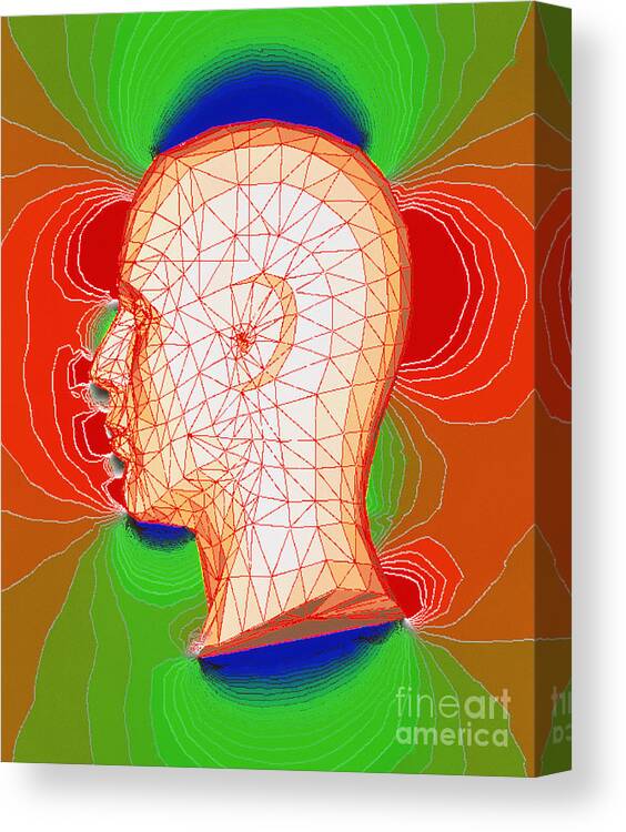 Head Canvas Print featuring the photograph Magnetic Field Around Head by Dr Michael Smith/science Photo Library