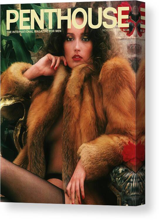 Penthouse Magazine Canvas Print featuring the photograph November 1980 Penthouse Cover Featuring Isabella Ardigo by Penthouse