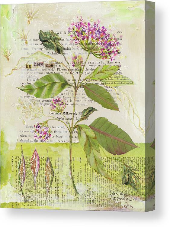 Memories Of Milkweed Canvas Print featuring the mixed media Memories Of Milkweed by Linda Arandas