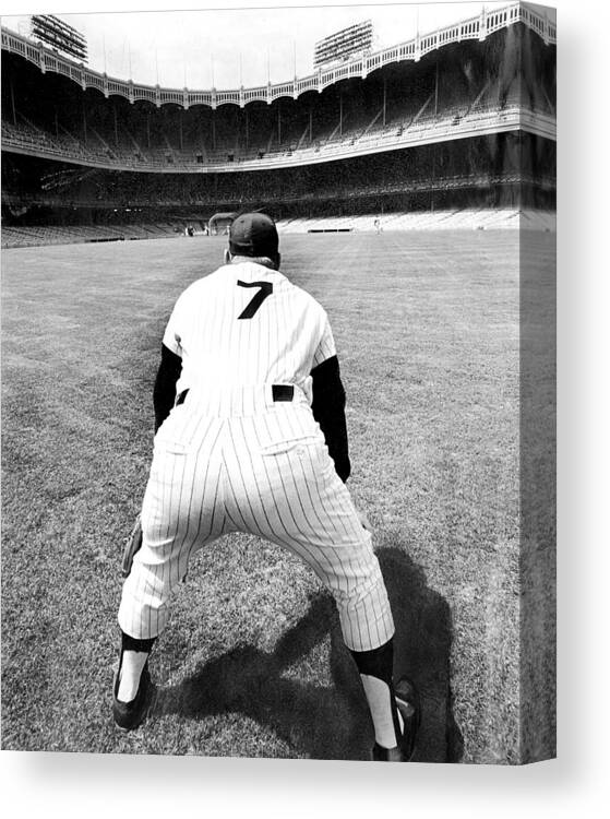 Working Canvas Print featuring the photograph Mickey Mantle Works Out At Yankee by New York Daily News Archive