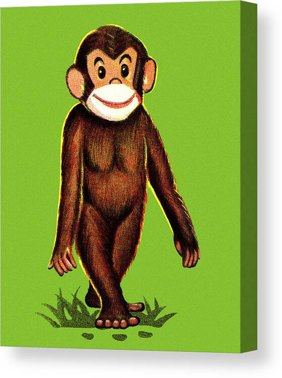 Animal Canvas Print featuring the drawing Monkey Standing by CSA Images