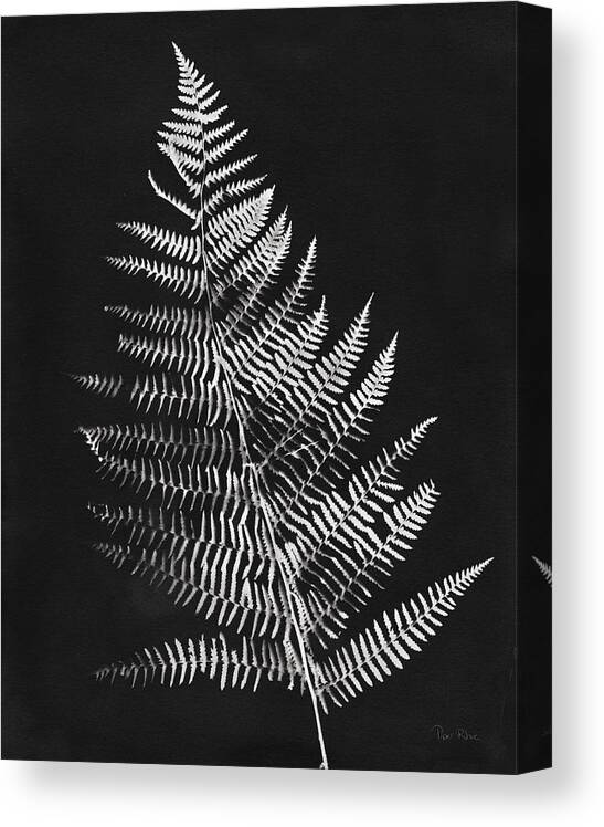 Black And White Canvas Print featuring the painting Nature By The Lake Ferns Vi Black Crop by Piper Rhue