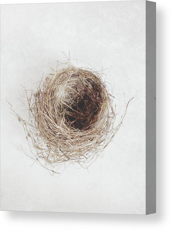 Bird Nest Canvas Print featuring the photograph Nest by Lupen Grainne