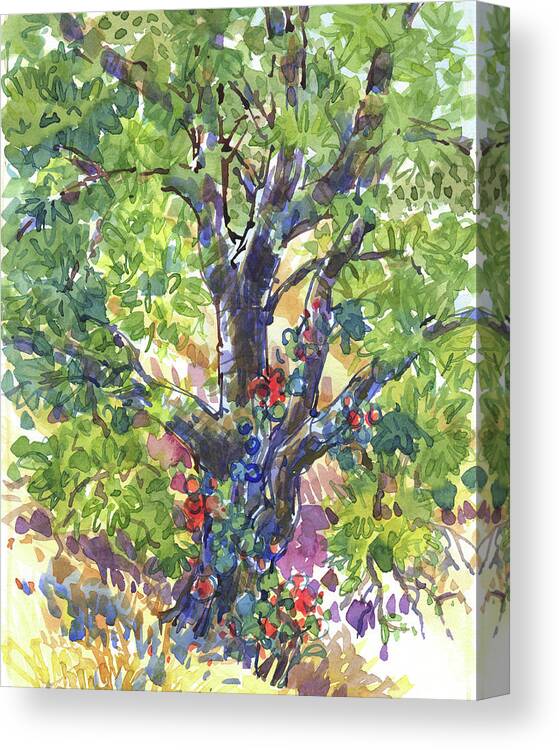 California Oak Canvas Print featuring the painting Oak and Poison Ivy by Judith Kunzle