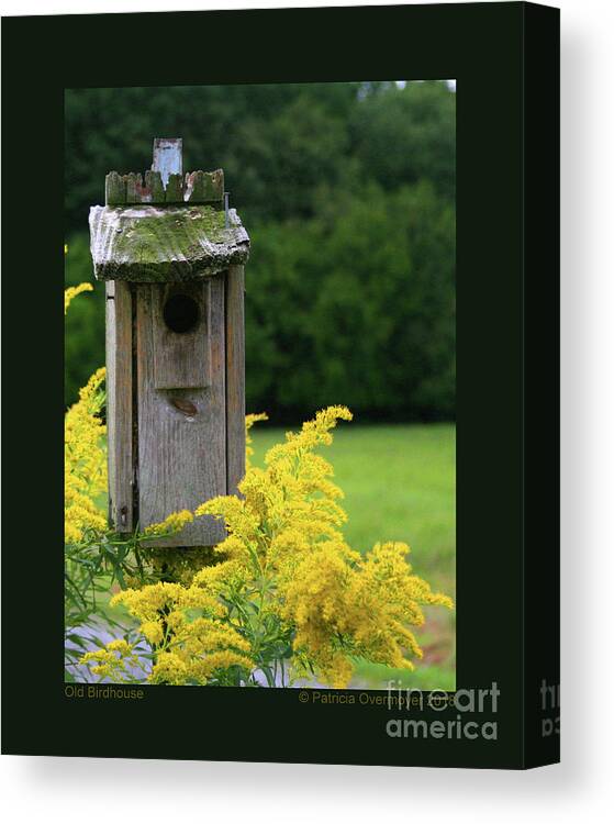 Bird House Canvas Print featuring the photograph Old Birdhouse by Patricia Overmoyer