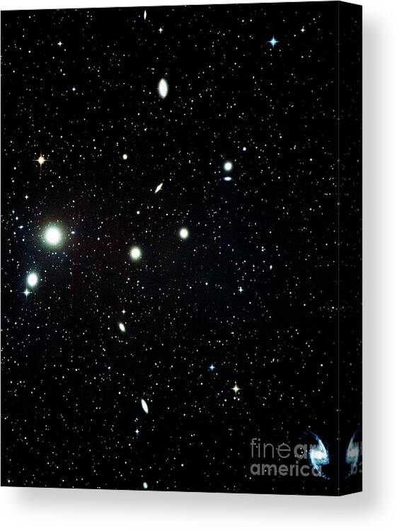 Galaxy Cluster Canvas Print featuring the photograph Optical Image Of The Fornax Cluster Of Galaxies by Royal Observatory, Edinburgh/aatb/science Photo Library