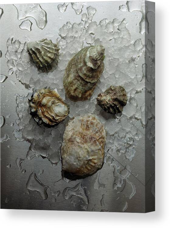 #new2022 Canvas Print featuring the photograph Oyster Shells On Ice by Romulo Yanes