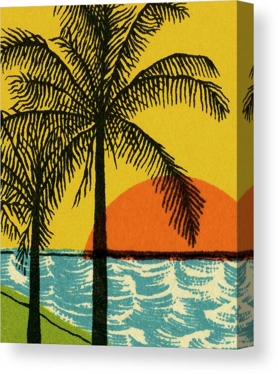 Beach Canvas Print featuring the drawing Palm Trees and Beach by CSA Images