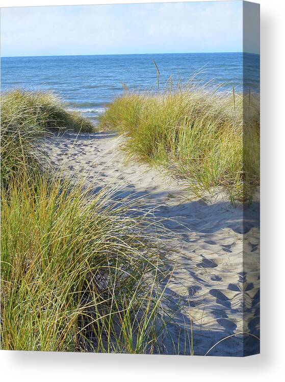 Lake Michigan Canvas Print featuring the photograph Path to Paradise by Kathi Mirto