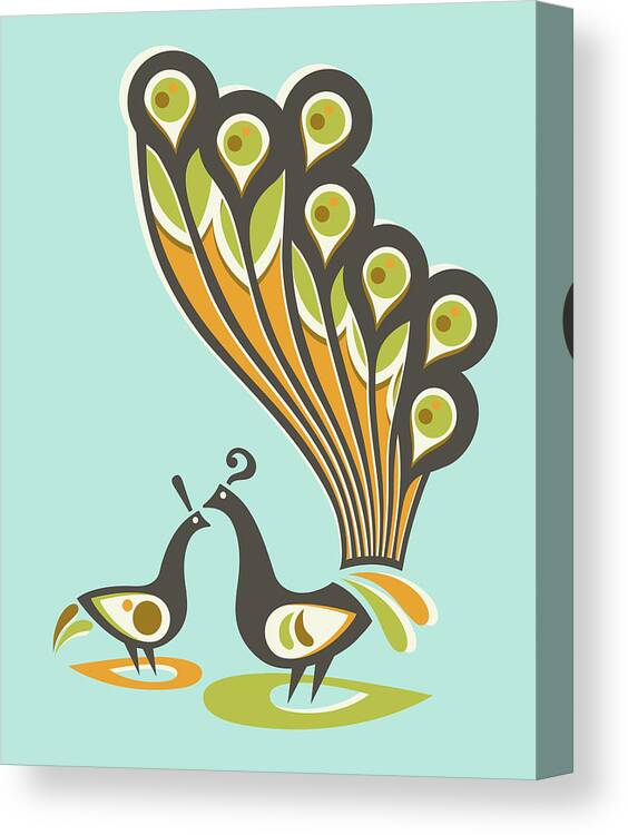 Peacock Couple Canvas Print / Canvas Art by CSA Images - Fine Art America