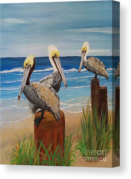 Pelicans Canvas Print featuring the painting Pelicans Perched by Elizabeth Mauldin