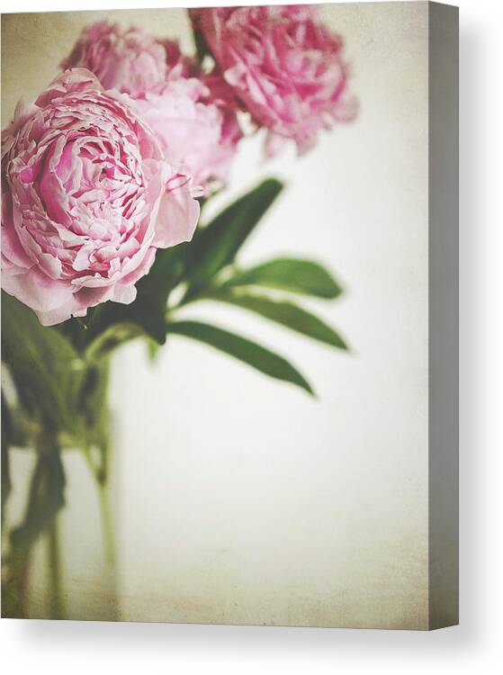 Peony Canvas Print featuring the photograph Peony 12 by Lupen Grainne