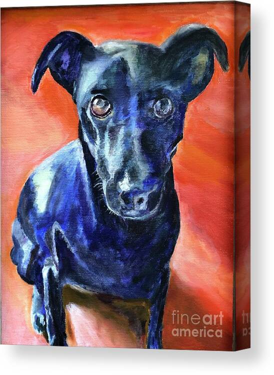 Dog Canvas Print featuring the painting Peter by Kate Conaboy