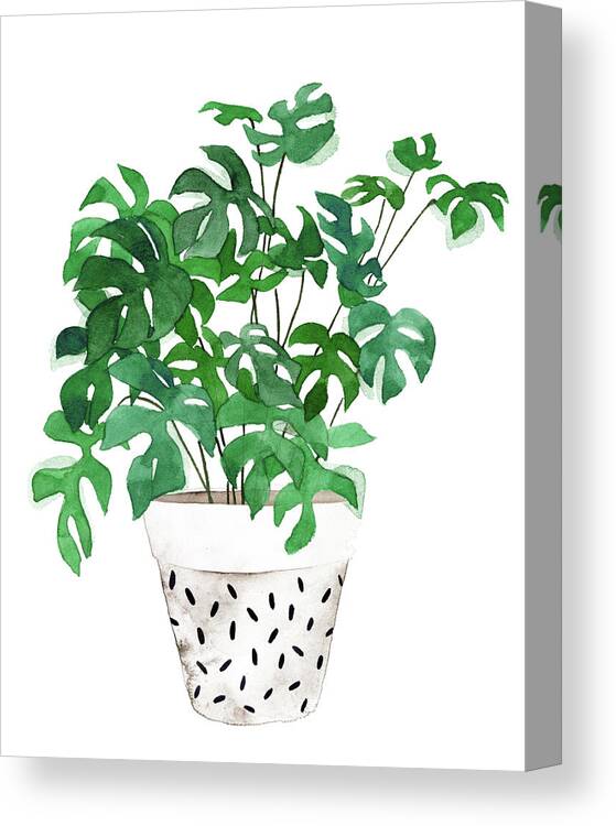  Canvas Print featuring the painting Plant In A Pot Iv by Melissa Wang